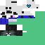 Texture for SANS!