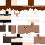 Texture for UpdatedBear
