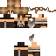 Texture for GASHT