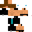 Texture for Pingo_pingo