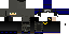 Texture for Pennsylvanian Army Engineer