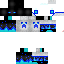 Texture for Enderplayer