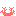 Texture for Red Coral