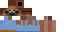 Texture for zakc11