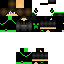 Texture for steve