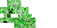Texture for creeper