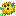 Texture for Pufferfish with carrot / Иглобрюх с морковью LOL EASY