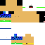 Texture for sws