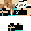Texture for sfse