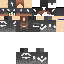 Texture for V0tex v1