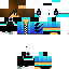 Texture for Checkpoint