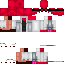 Texture for Steve