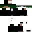 Texture for ds