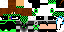 Texture for Same 333