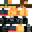 Texture for RocketDolphin