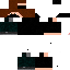 Texture for ninja