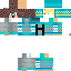 Texture for Snocman