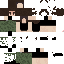 Texture for mint camo
