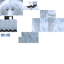 Texture for Ice Bear