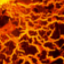 Texture for Hot stone
