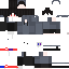 Texture for Leo