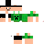 Texture for skin do minecraft