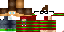 Texture for Igna