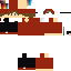 Texture for fds