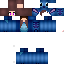 Texture for sasssa_br