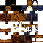 Texture for WIP