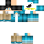 Texture for bashit skin