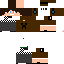 Texture for steve