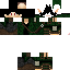 Texture for Evil Elf