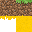 Texture for Grass Block