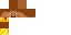 Texture for TORCH STEVE