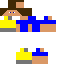 Texture for Chaosjoshi