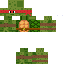 Texture for tortue