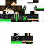Texture for ...