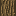 Texture for Дерево