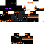 Texture for LASPIT