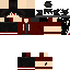 Texture for ninja