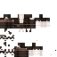 Texture for Medieval
