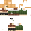 Texture for sam2