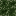 Texture for Rockbud2