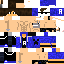 Texture for Steve