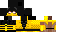 Texture for Scor