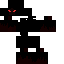 Texture for Phantom