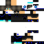 Texture for RARSIK