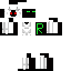 Texture for rocco2