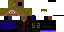 Texture for raymond